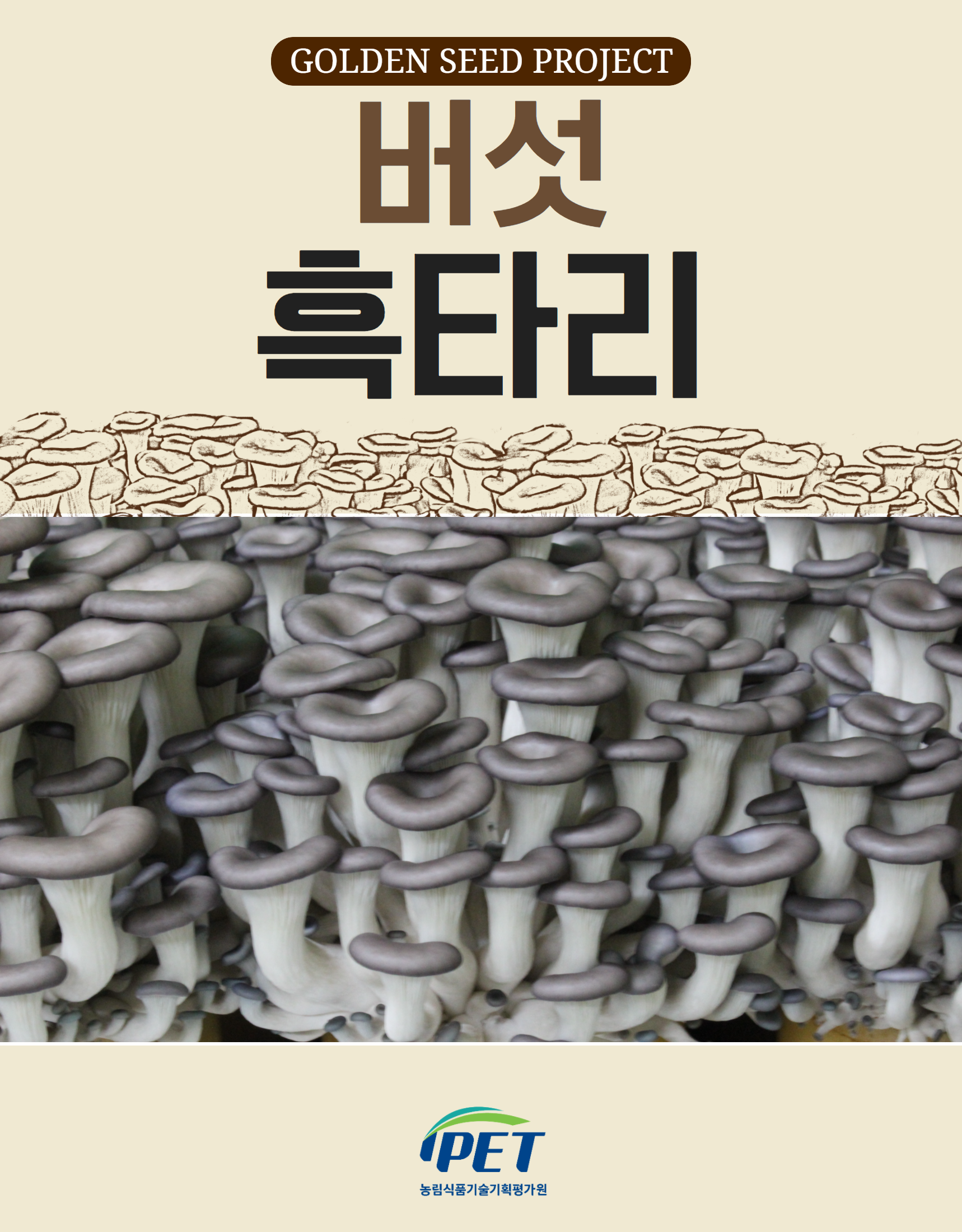 할라피뇨 카타리노